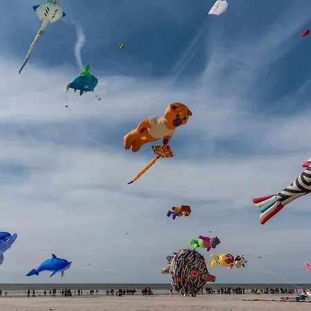 Maison De Berck-plage *